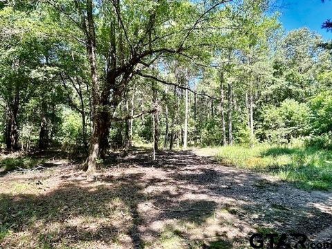 75 Acres Hwy 37 Clarksville TX 75426