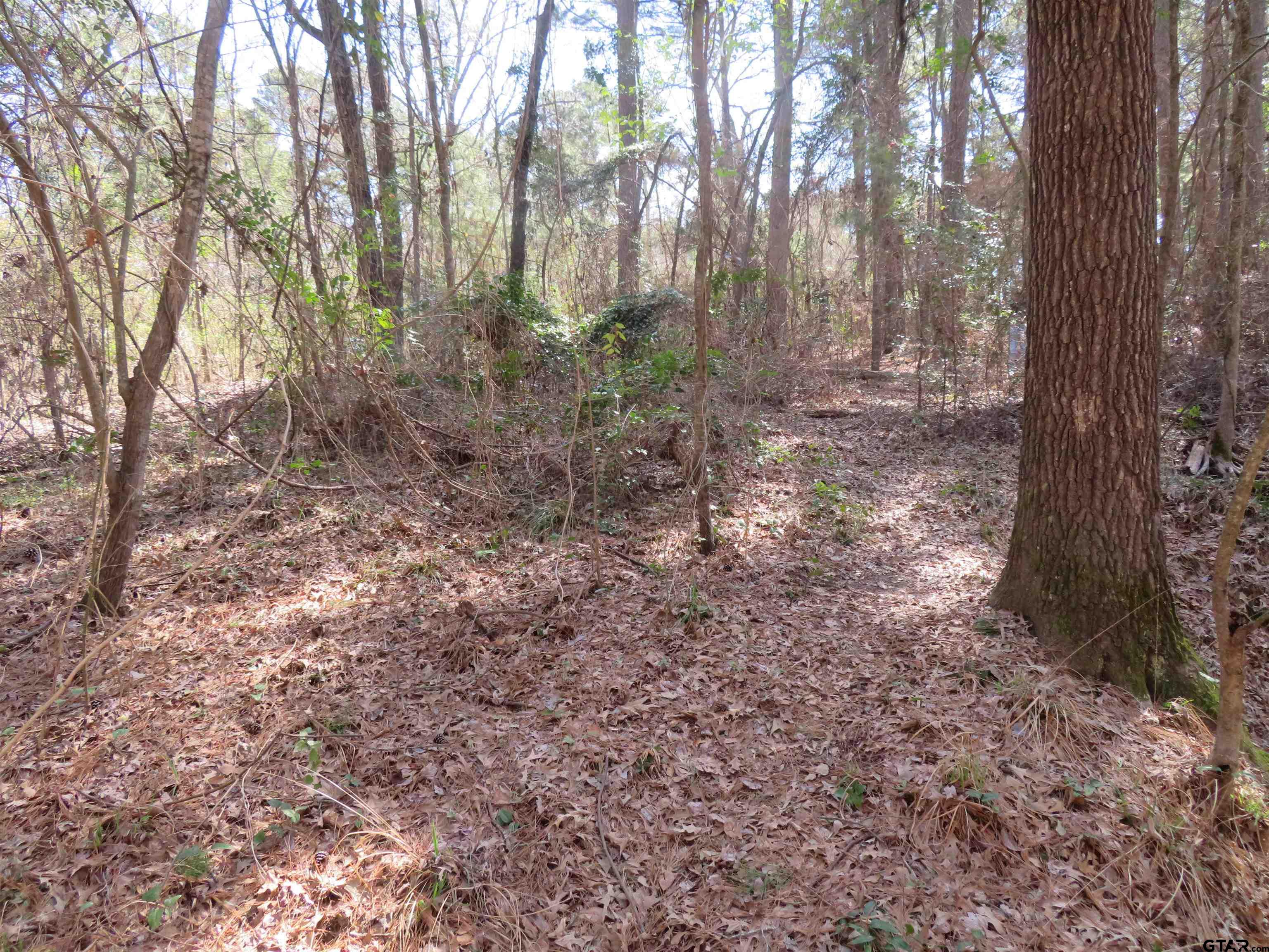 19904 Channel View dr.