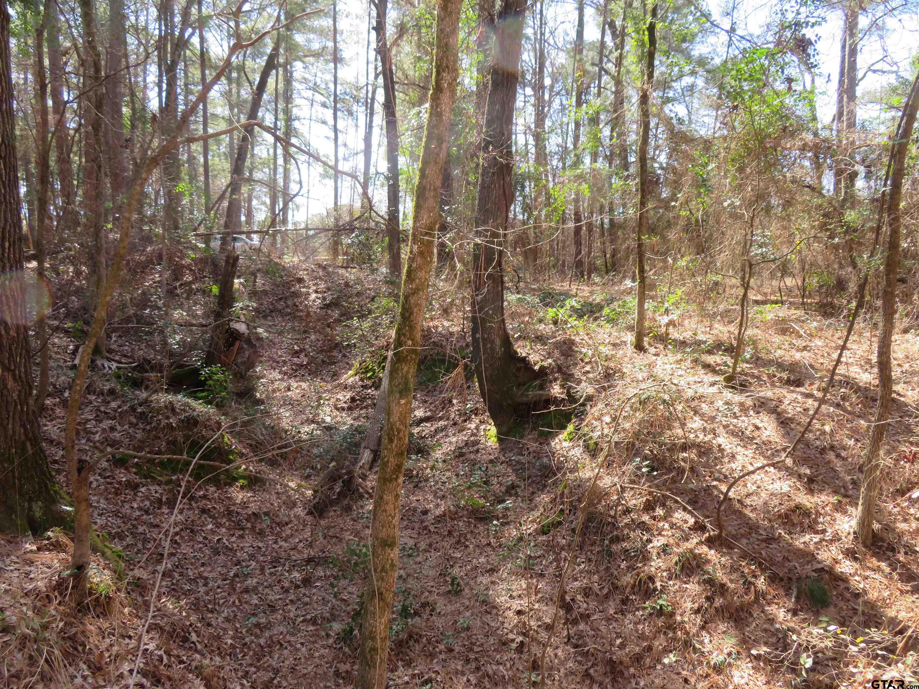 19904 Channel View dr.