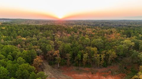 TBD CR 2697 Mineola TX 75773