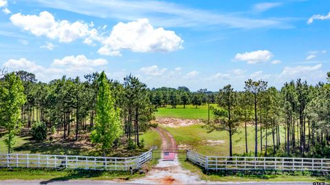 3682 County Road 4501 Jacksonville TX 75766