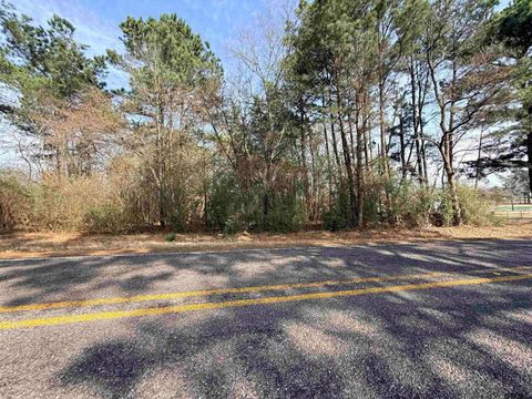 20425 FM 15 Troup TX 75789