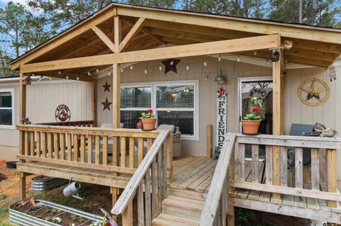 775 CR 418 D Henderson TX 75652