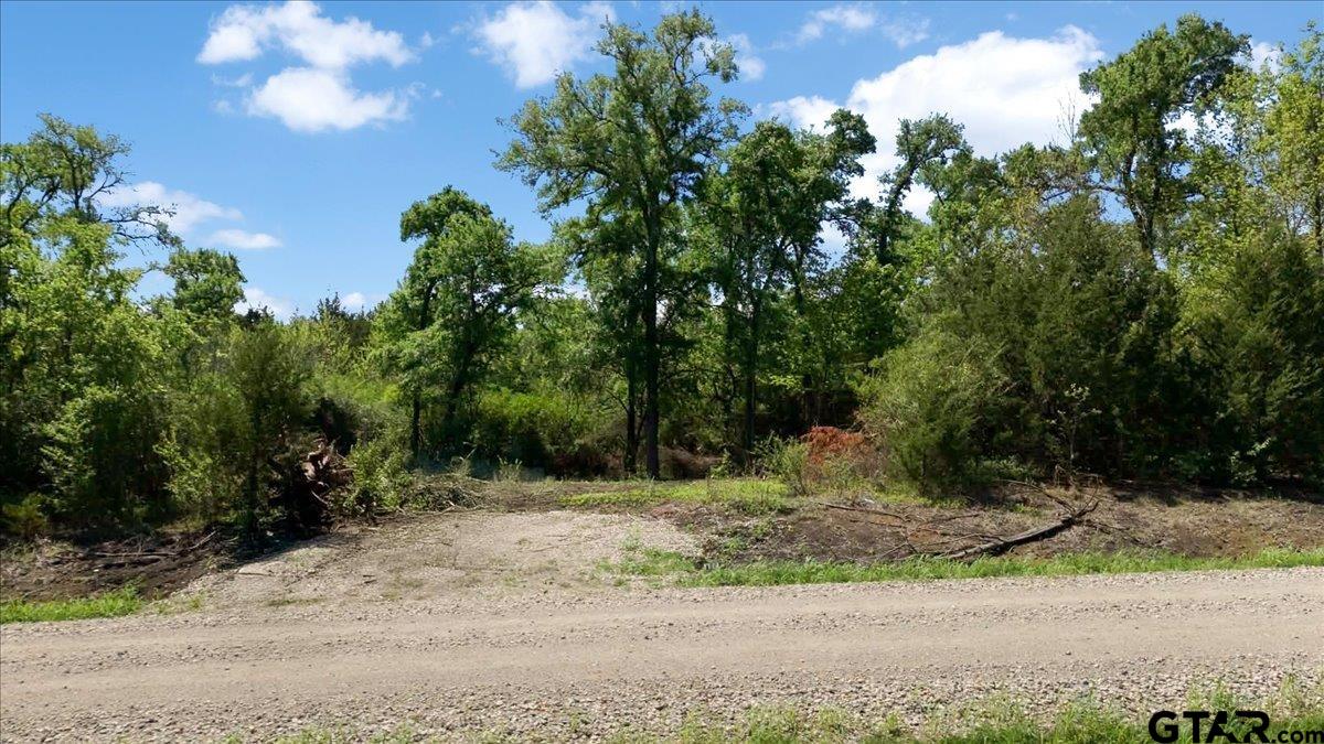 TBD County Road 4511