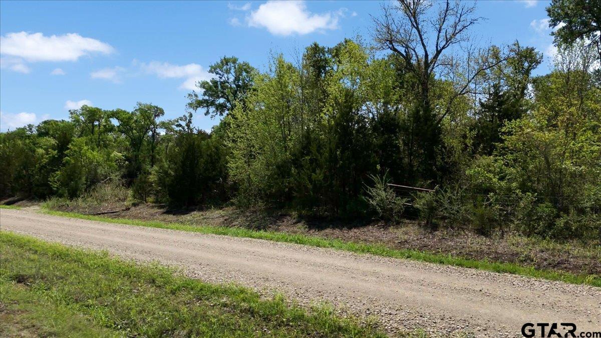 TBD County Road 4511