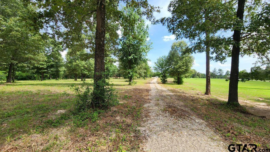 151 Bluewood Rd