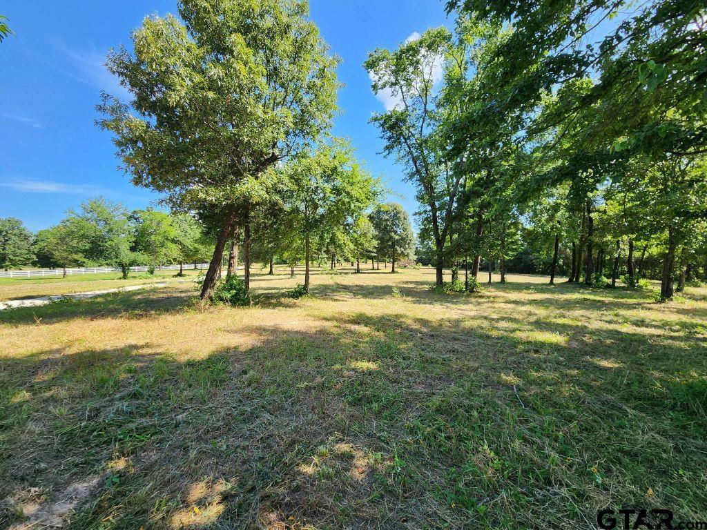 151 Bluewood Rd