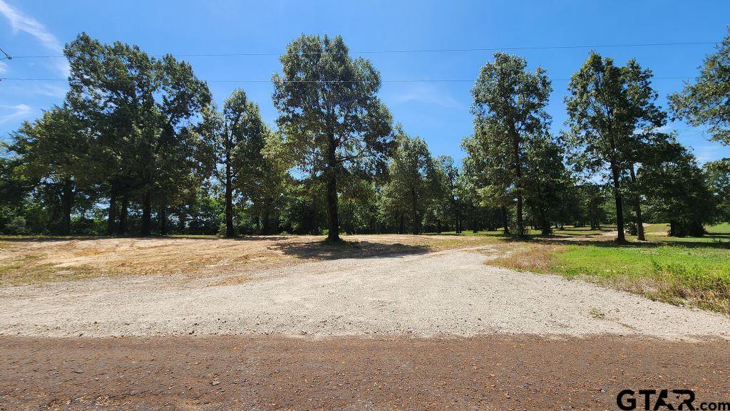 151 Bluewood Rd