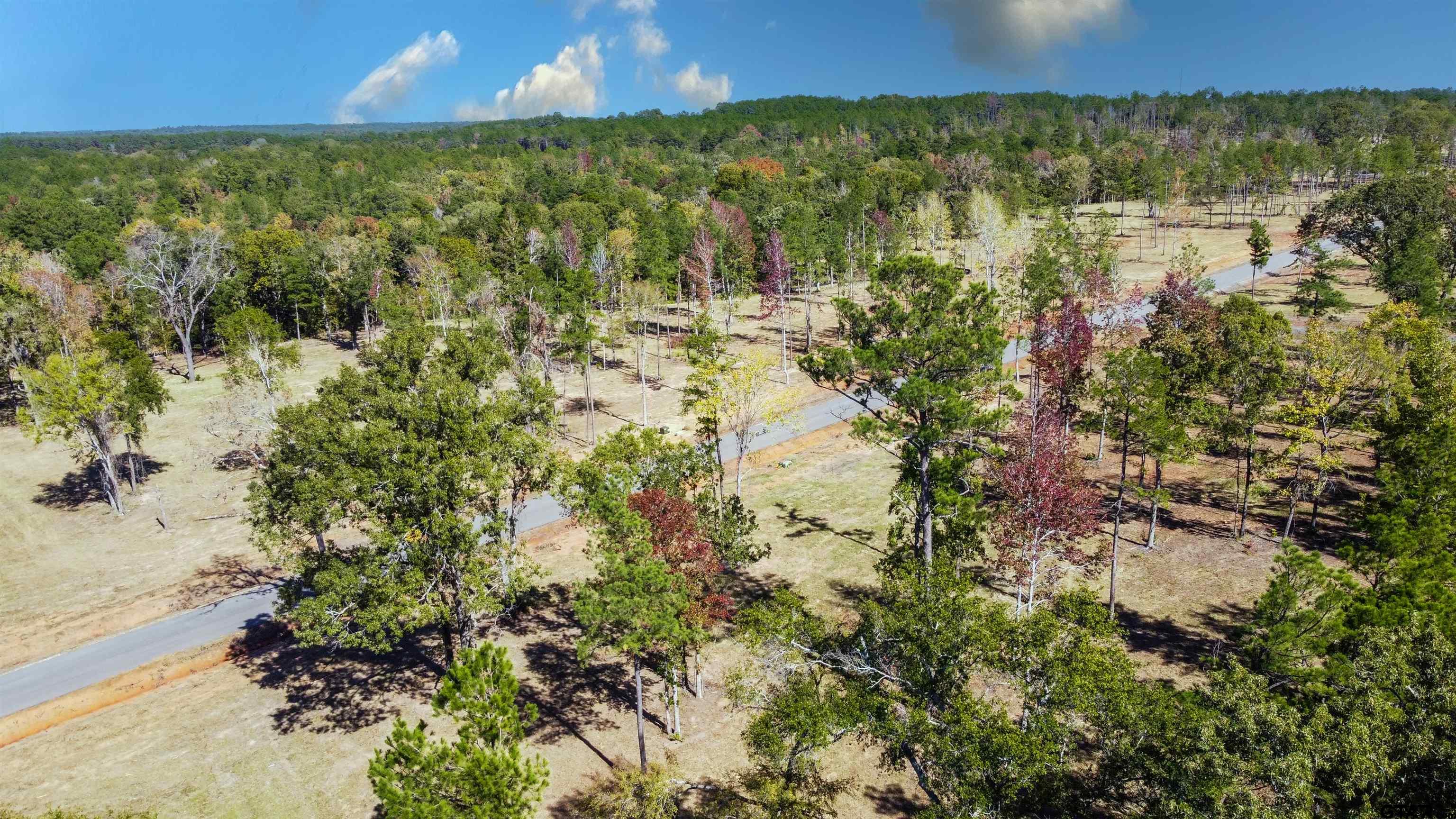 15588 Aniston Ln - (LOT 26)