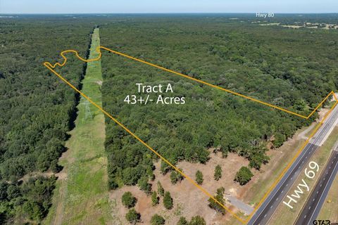 Tract A Hwy 69 Mineola TX 75773