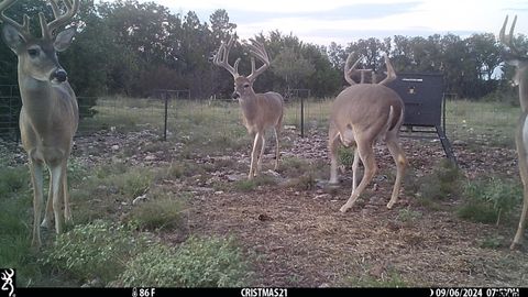 Lot 15 Contrary Creek Ranches Rocksprings TX 78880