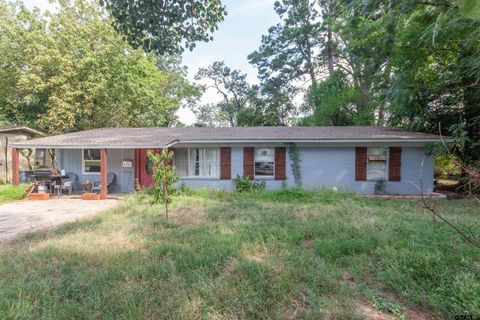 2320 Sarasota Dr Tyler TX 75701