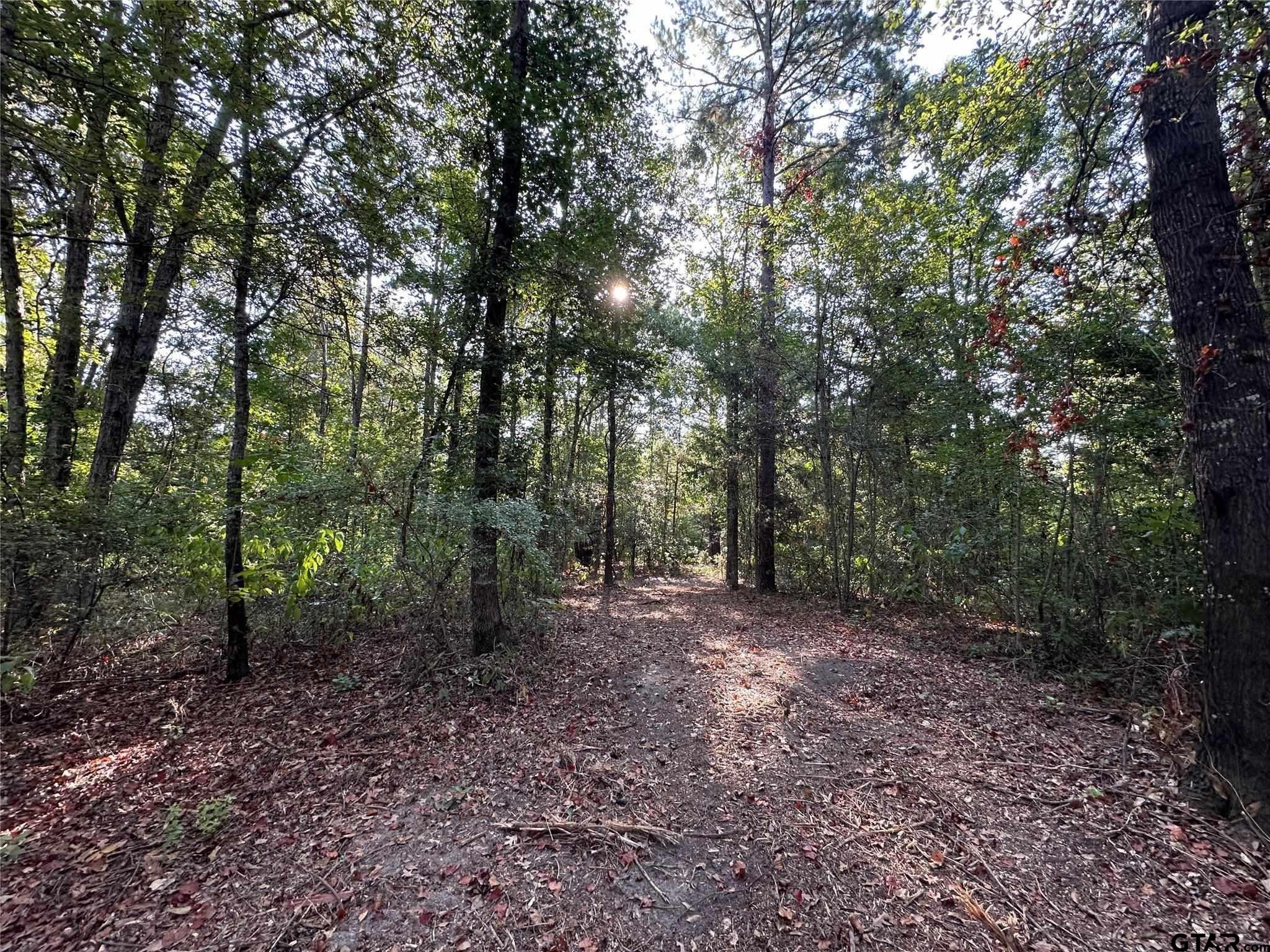 10 Acres FM 852