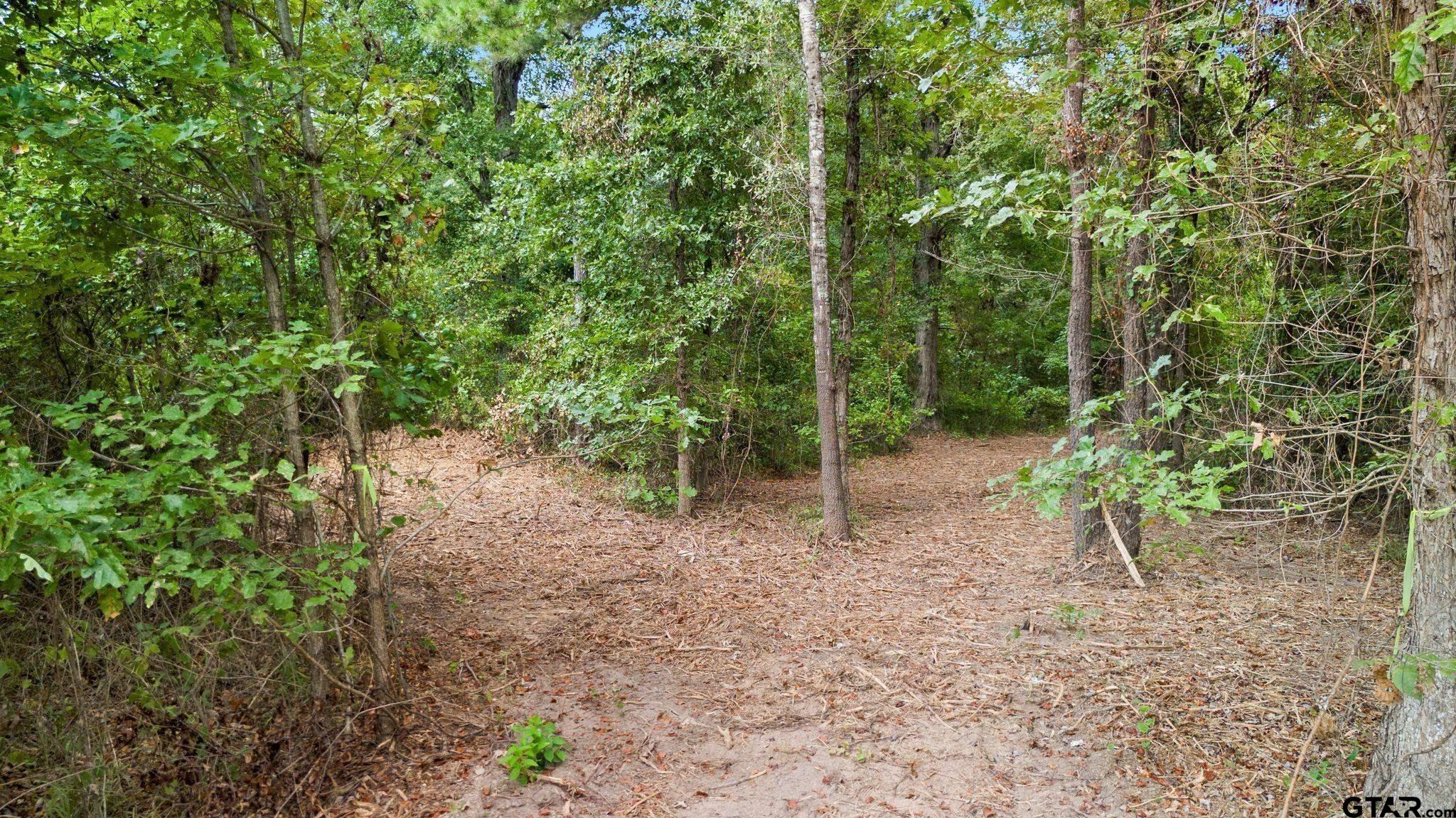 10 Acres FM 852