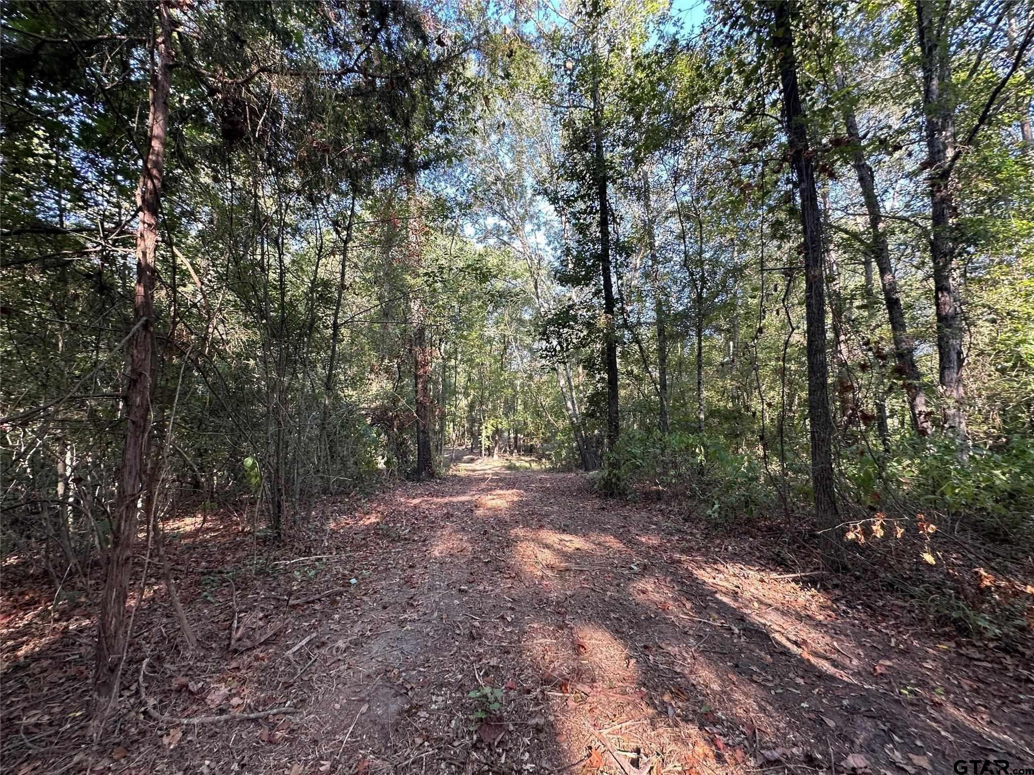 10 Acres FM 852