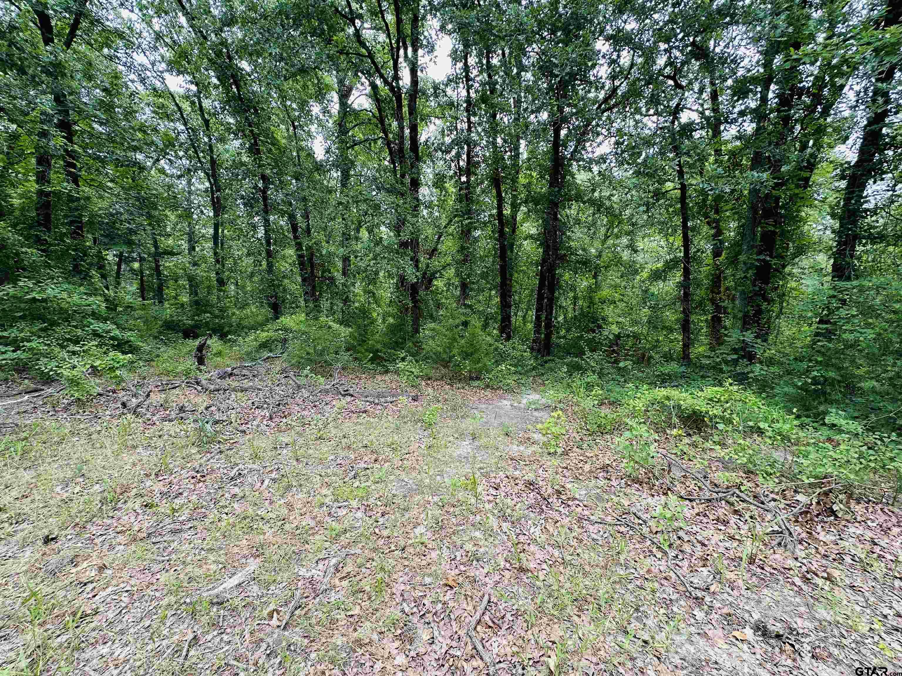 TBD 5 Ac County Road 4590