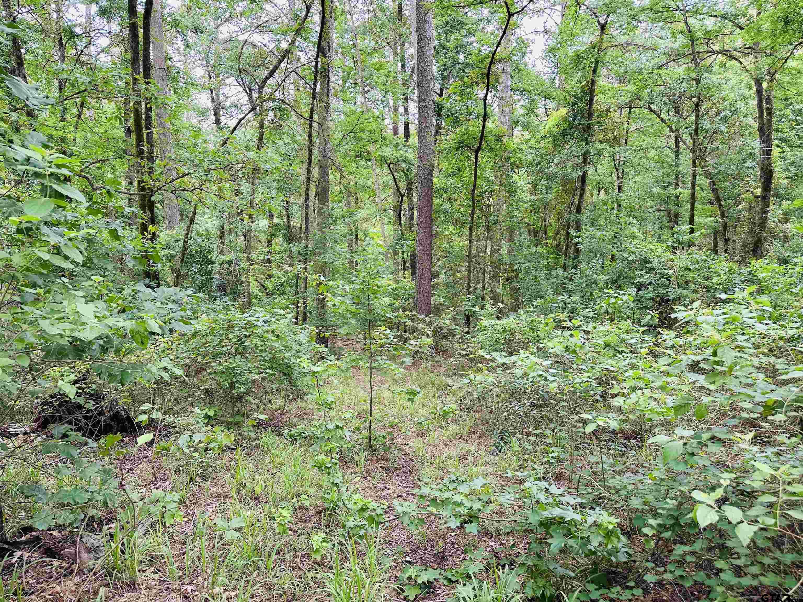 TBD 5 Ac County Road 4590