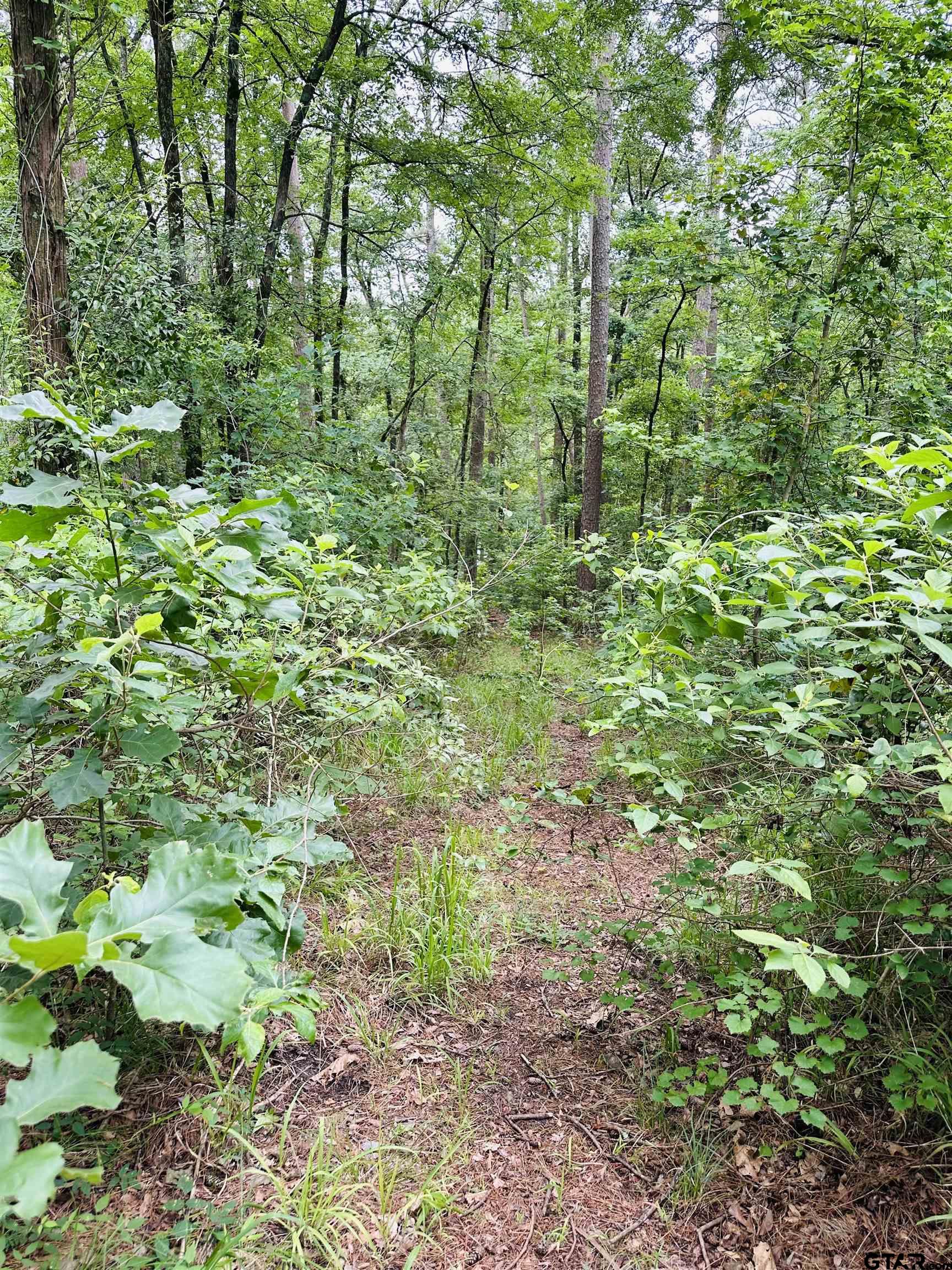 TBD 5 Ac County Road 4590