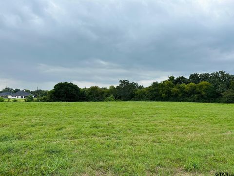 TBD CR 192 Tyler TX 75703