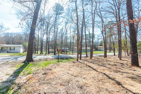 255 CR 3496 Hawkins TX 75765