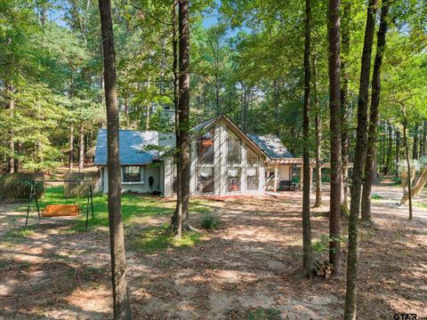 15 County Road 4896 Cason TX 75636