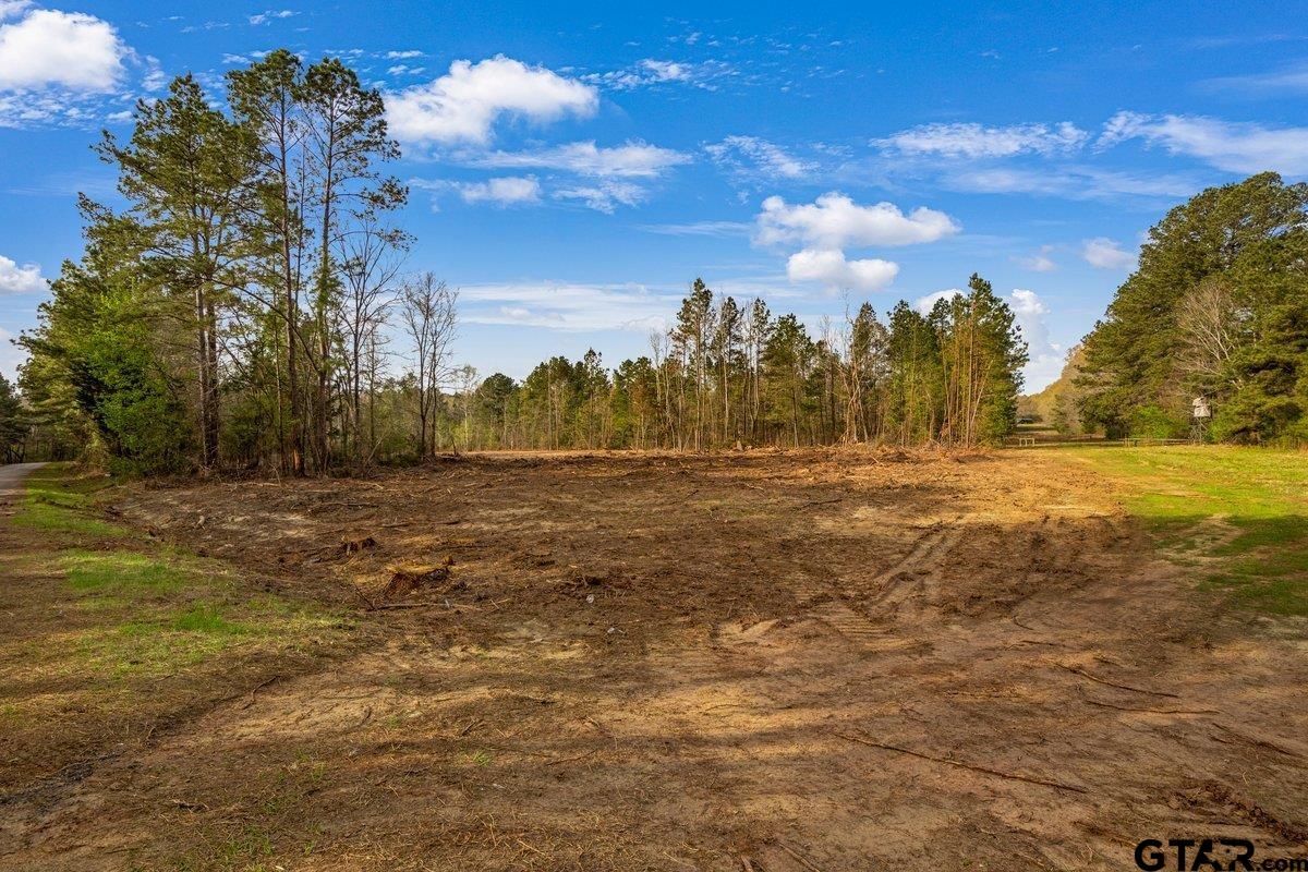 Troup, Texas 75789, United States, ,Land,Active,91885