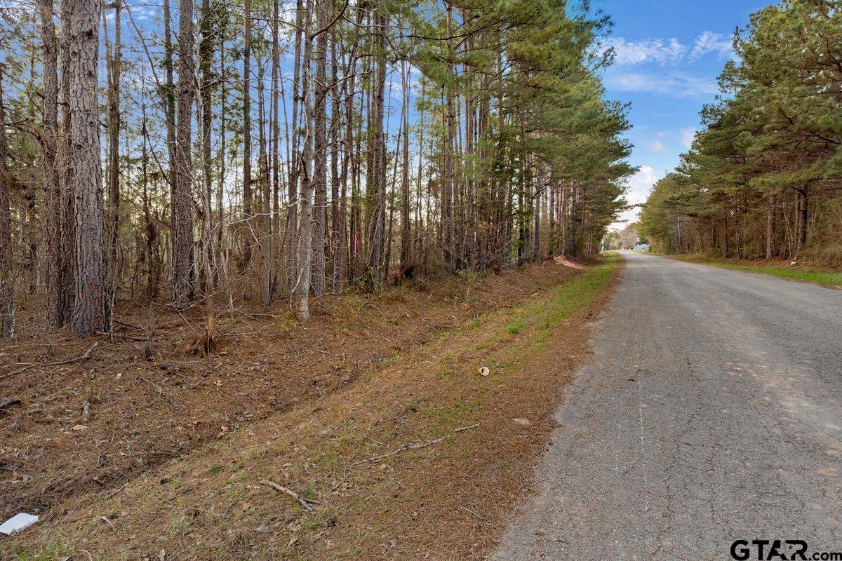 Troup, Texas 75789, United States, ,Land,Active,91885