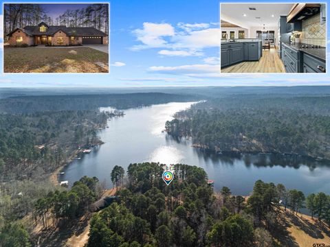 80 County Road 1597 Avinger TX 75630