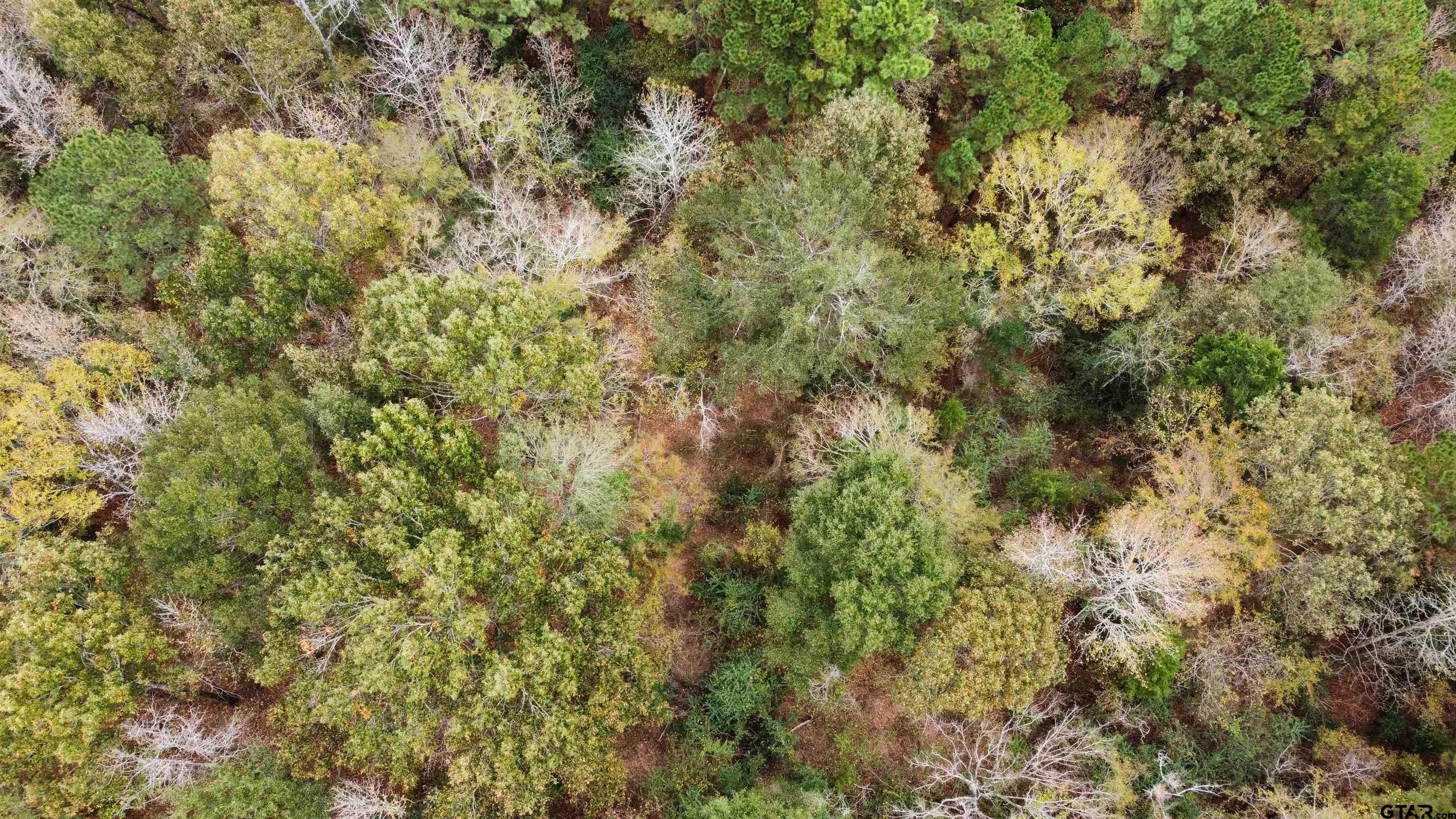 20923 County Road 2160