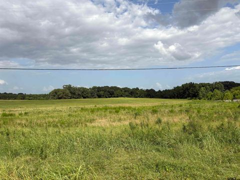 TBD N HWY 271 Pittsburg TX 75686