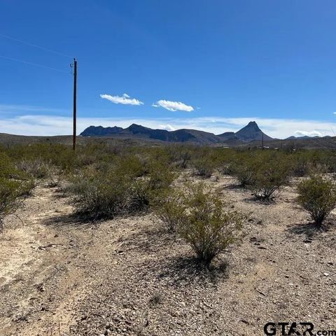 31466 Ringtail Terlingua TX 79852