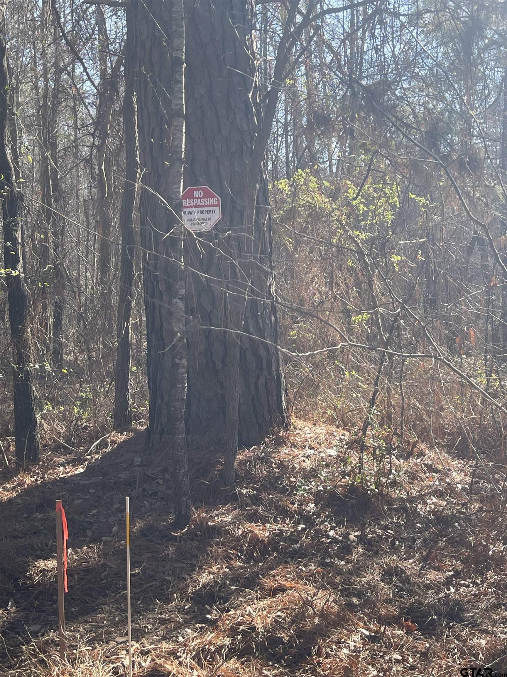 TBD CR 2151 (Tract 7A)