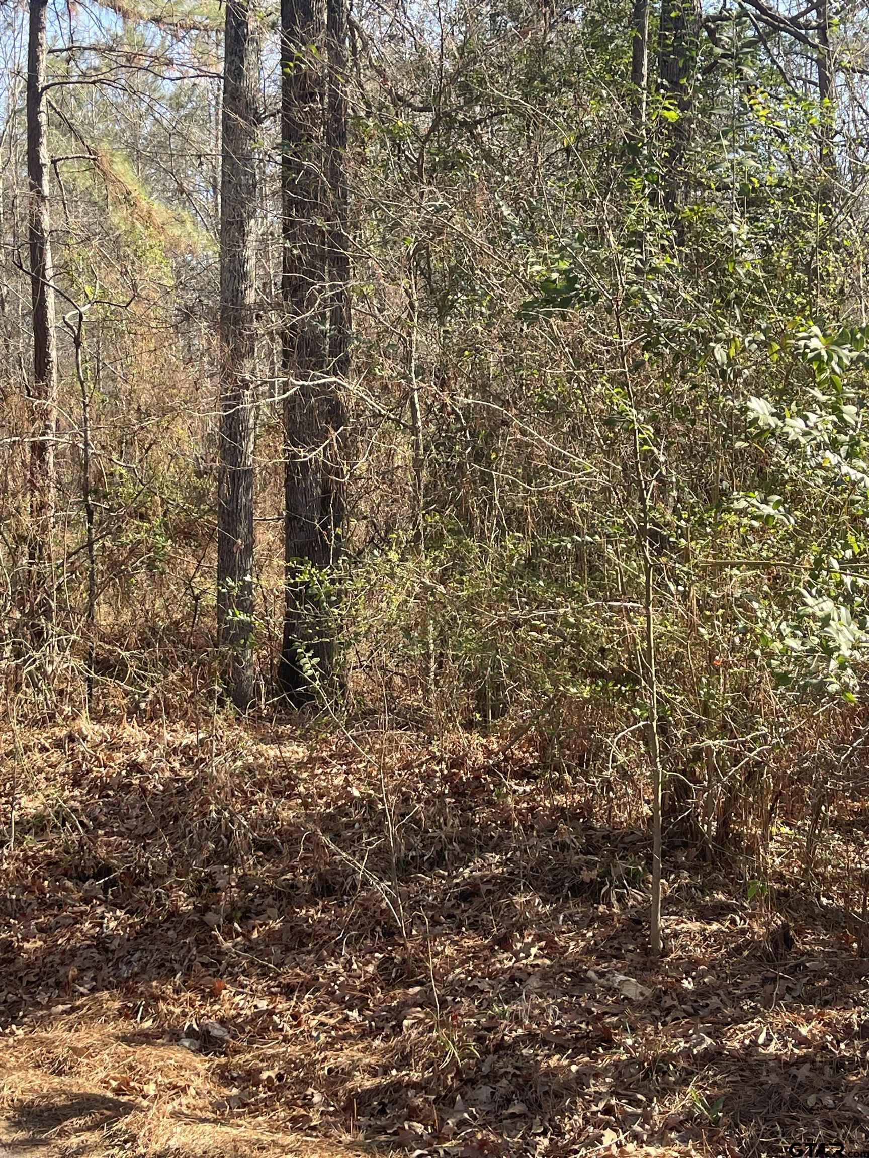 TBD CR 2151 (Tract 7A)