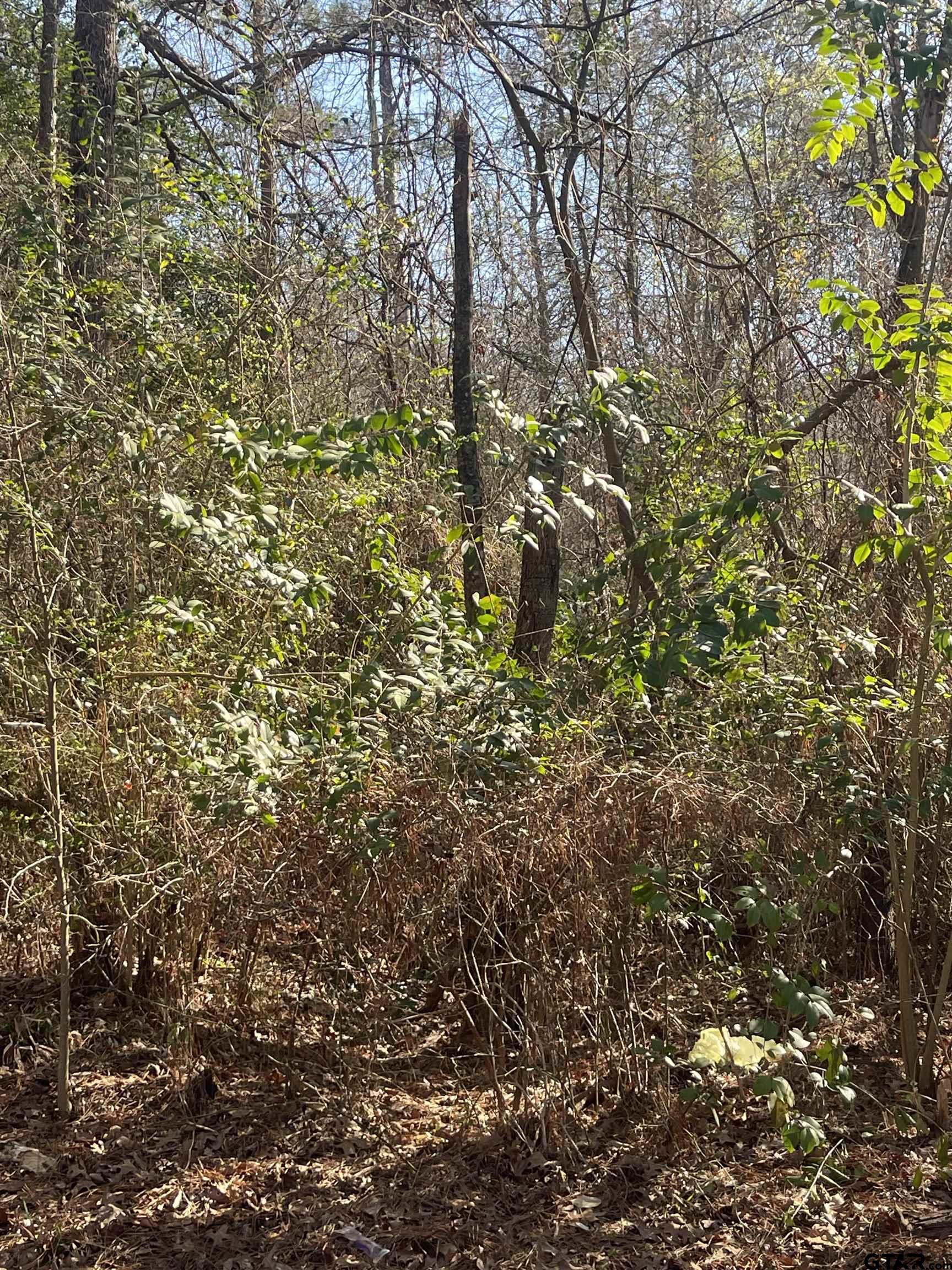 TBD CR 2151 (Tract 7A)