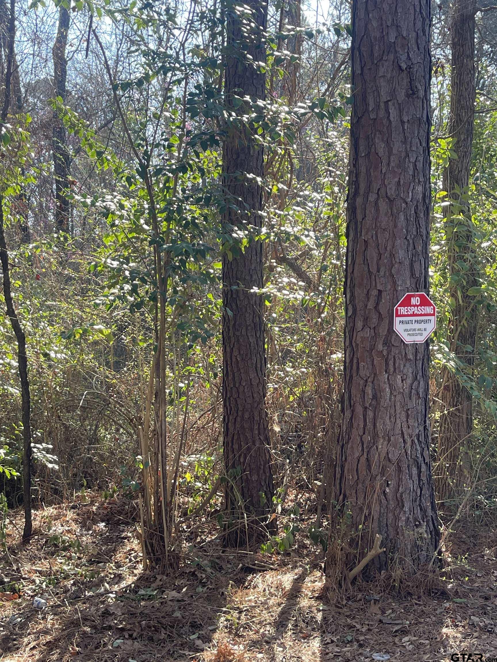 TBD CR 2151 (Tract 7A)