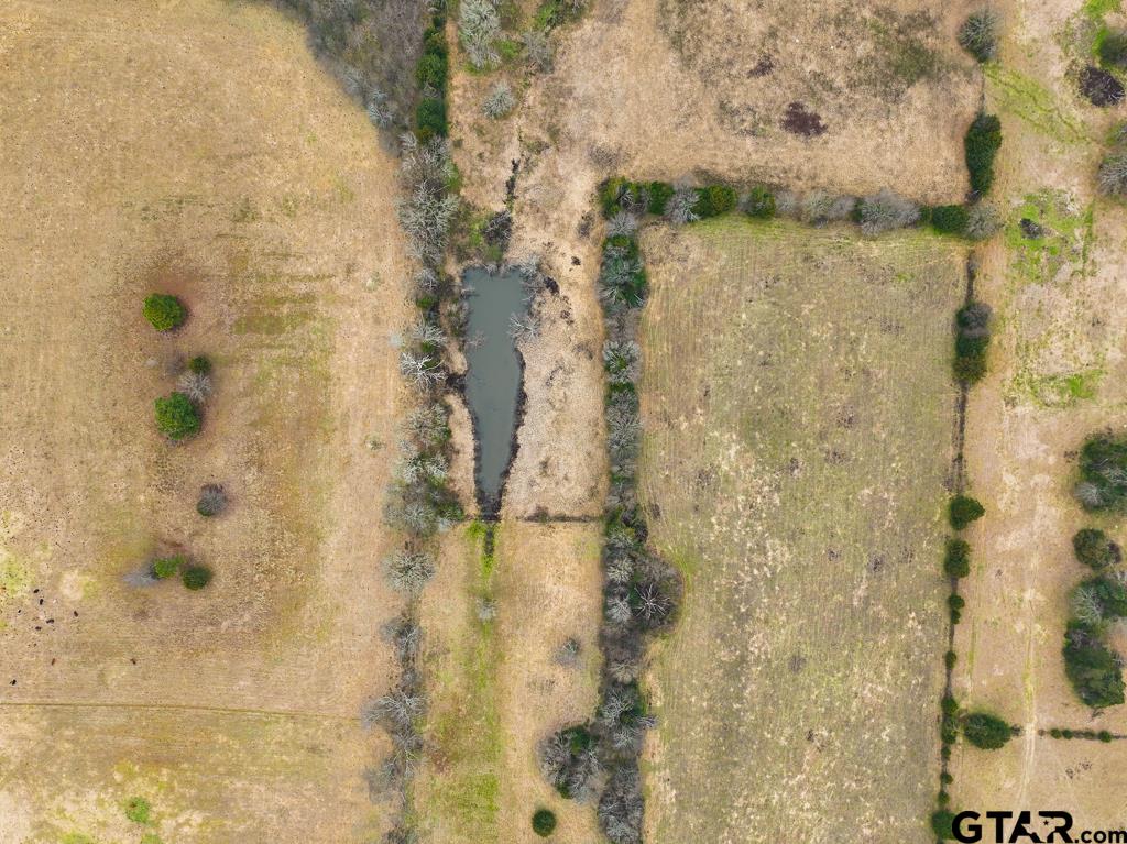 000 State HWY 110 ( TBD)