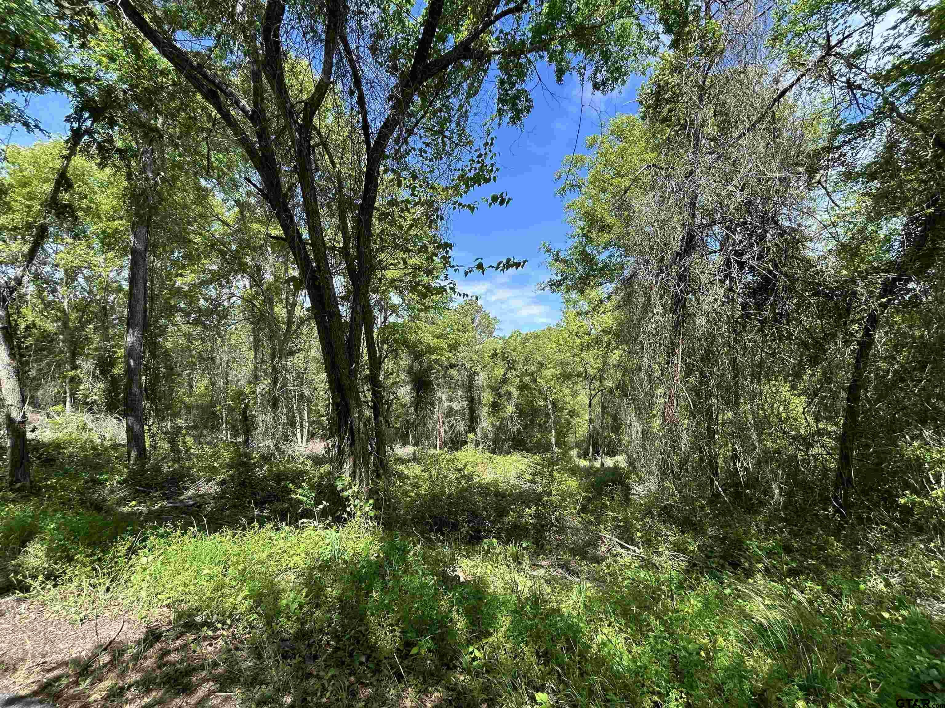 13904 County Road 1250