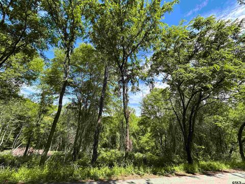 13904 County Road 1250 Tyler TX 75709