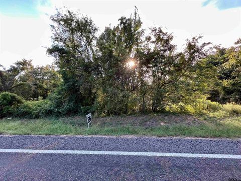 Lot 1 FM 1519 Leesburg TX 75451