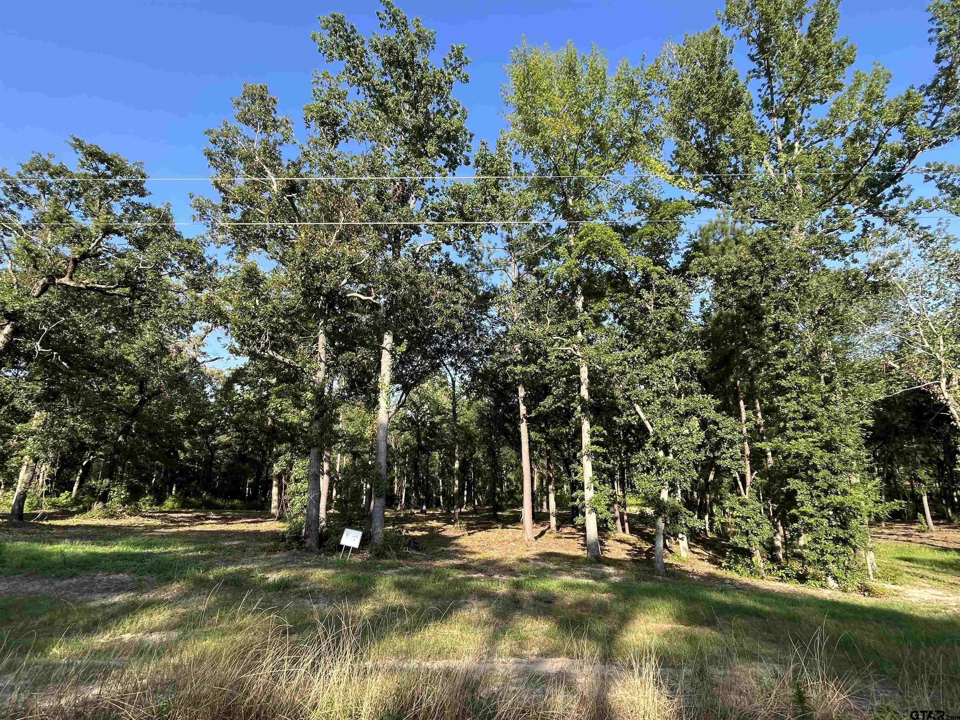Photo 1 of 10 — 3226 Shadow Pine Dr, LaRue, TX 75770