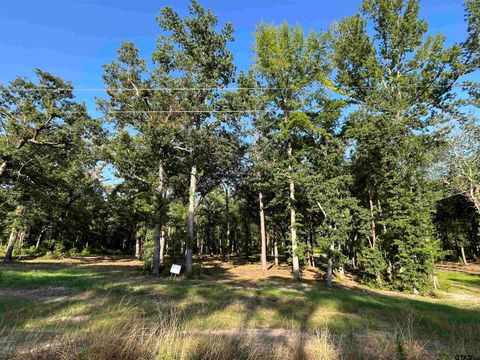 3226 Shadow Pine Dr LaRue TX 75770