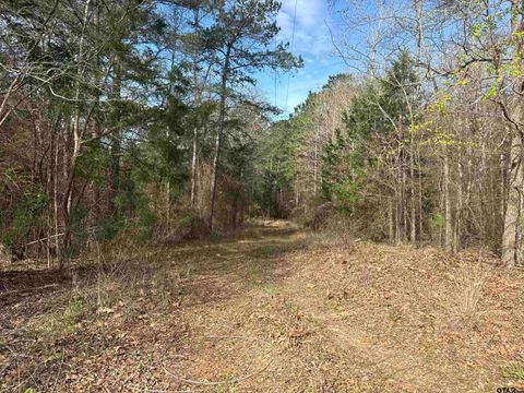 15485 Cr 46 Tyler TX 75704