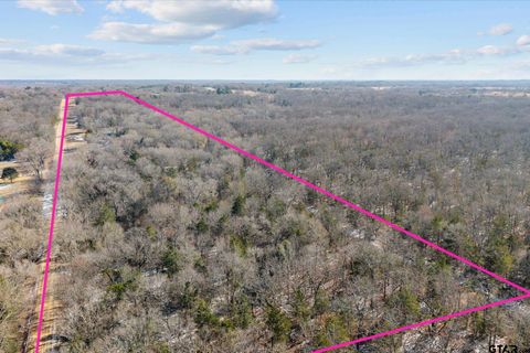 TBD County Road 3105 Edgewood TX 75117