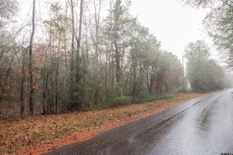 1348 CR 448 Carthage TX 75633