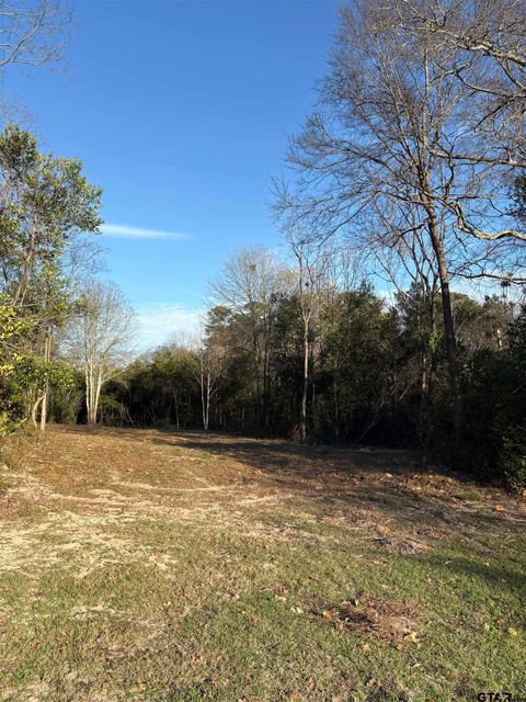 TBD Academy St Rusk TX 75785