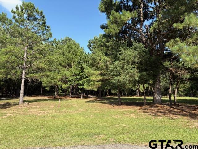 208 Pack Saddle Ridge