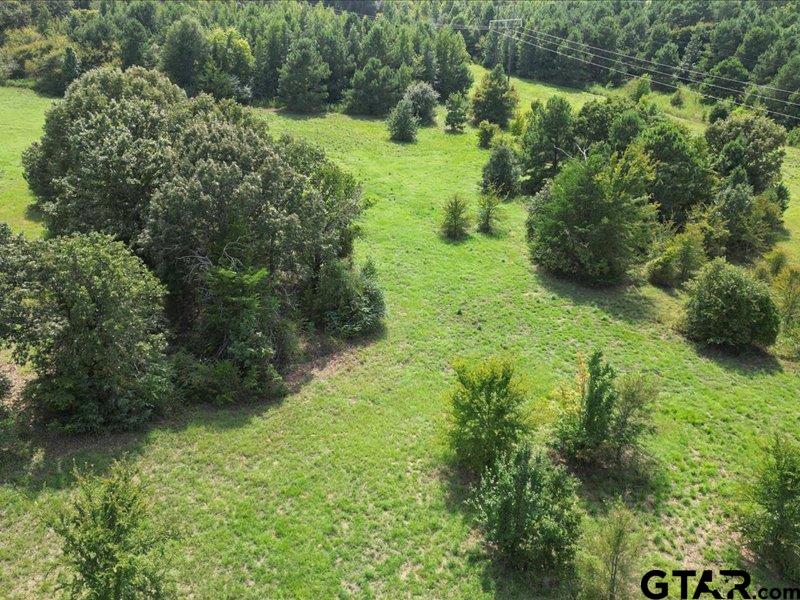 Tyler, Texas 75703, United States, ,Land,Pending,203107