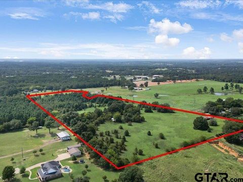 TBD CR 192 (31.8 acres) Tyler TX 75703