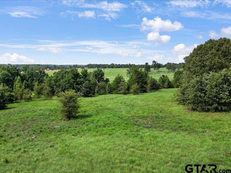 Tyler, Texas 75703, United States, ,Land,Pending,203107