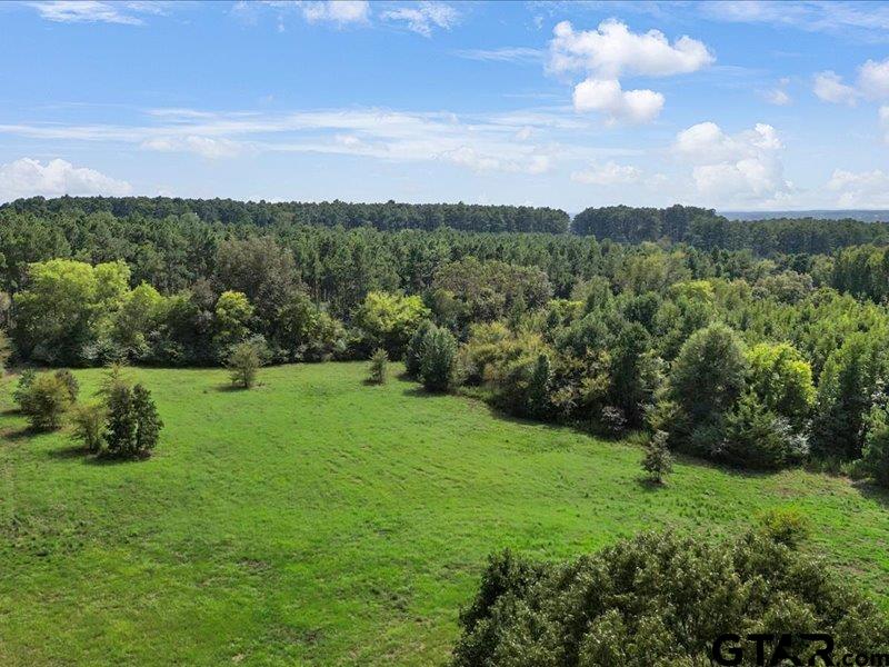 Tyler, Texas 75703, United States, ,Land,Pending,203107